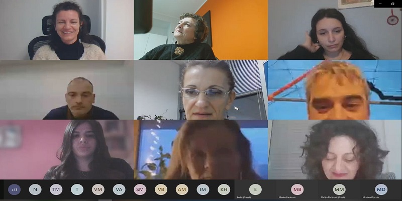 Screenshot of the online meeting