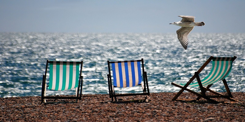 deckchairs and seagull